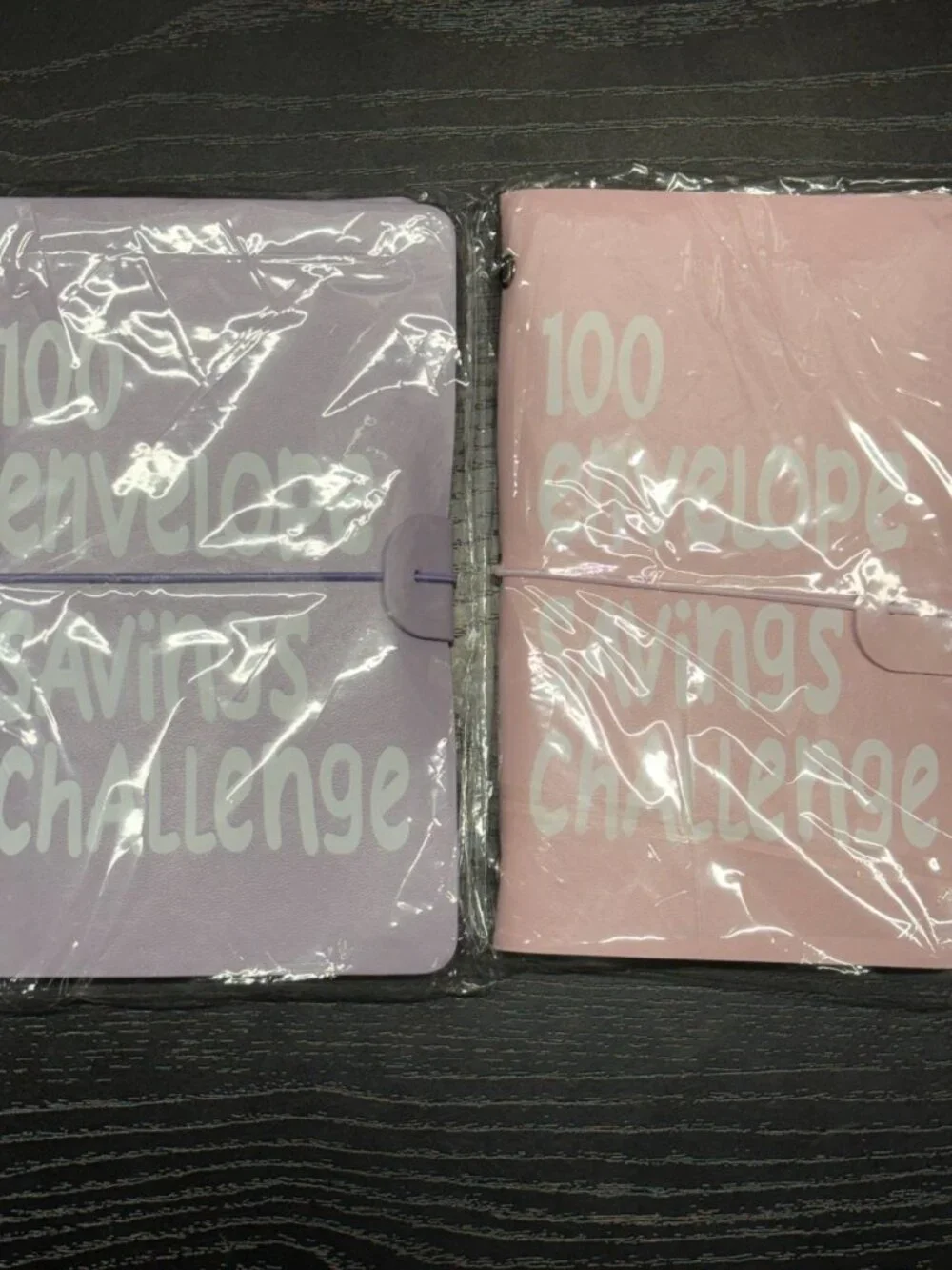 30&100 Envelopes Challenge Binder, Budget Binder Savings Challenges Book